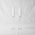 Glass Champagne Flute Glass Set (2-Piece)