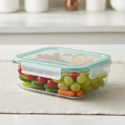 Danny Home Borosilicate Rectangle Food Container (630ml)