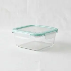 Danny Home Borosilicate Rectangular Food Container (400ml)