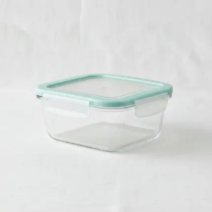 Danny Home Borosilicate Rectangular Food Container (400ml)
