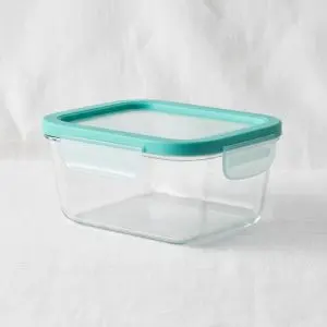 Borosilicate Square Glass Food Container (500ml - Teal Edition)