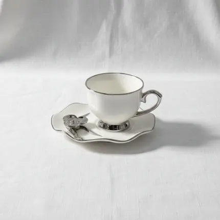 Coffee Cup with Saucer – Silver – 16-27 (6 PIeces)